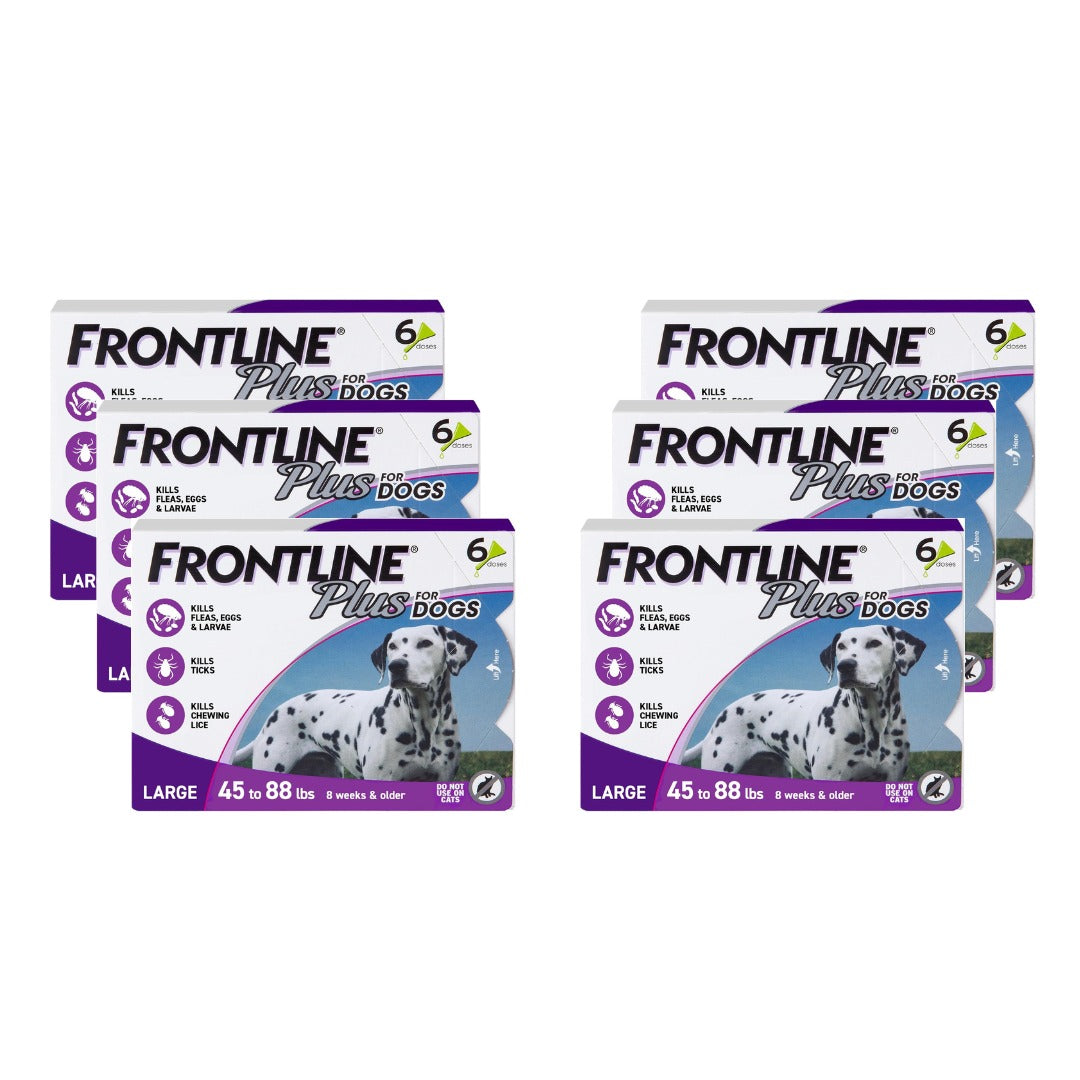 Frontline Plus for dogs packaging with a Dalmatian dog on a purple and blue background