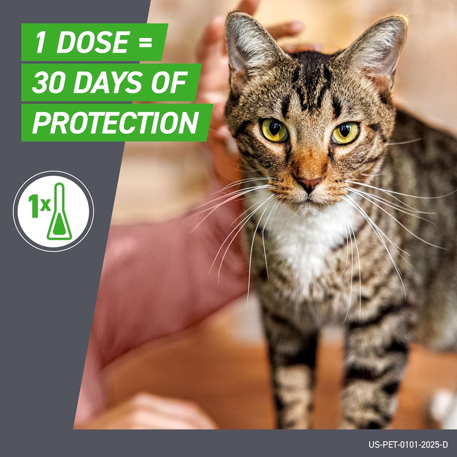 FRONTLINE Plus Flea and Tick Treatment for Cats (Over 1.5 lbs) – 8 Treatments