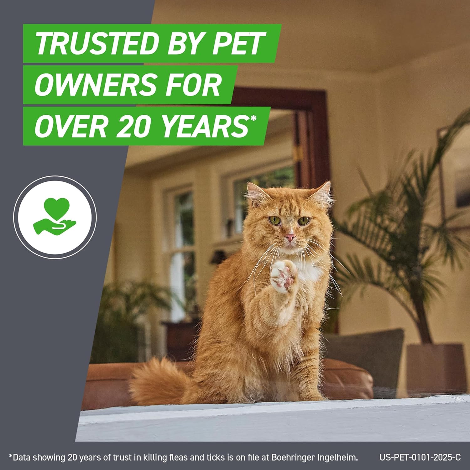 FRONTLINE Plus Flea and Tick Treatment for Cats (Over 1.5 lbs) – 8 Treatments