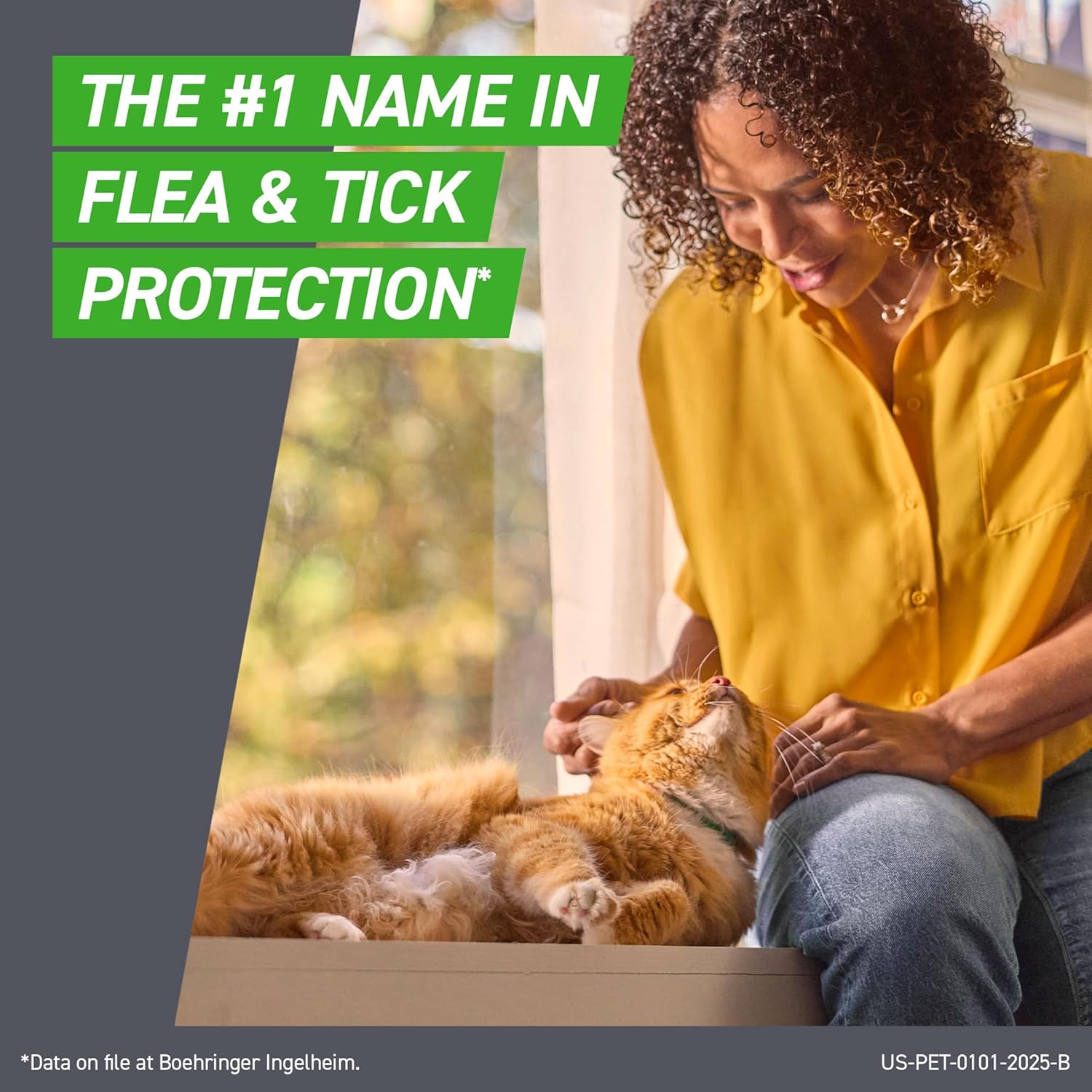 FRONTLINE Plus Flea and Tick Treatment for Cats (Over 1.5 lbs) – 8 Treatments