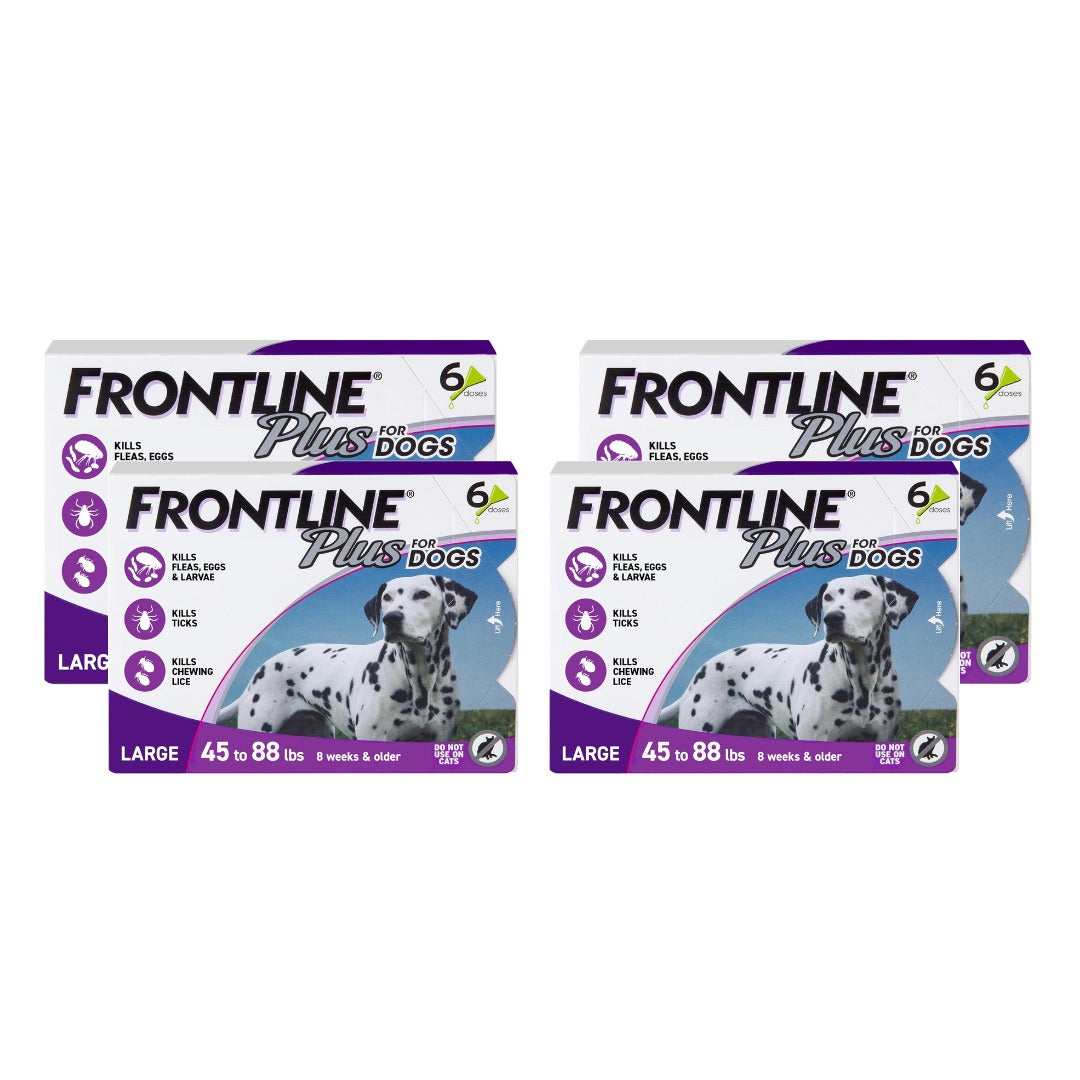 FRONTLINE Plus for Dogs Large Dog (45–88 lbs) Flea and Tick Treatment – 6 Doses