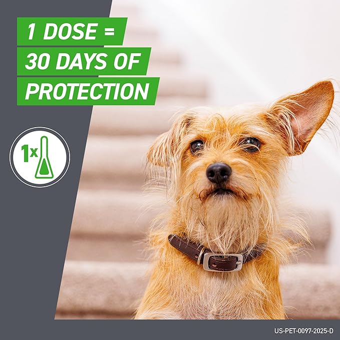 Dog with a collar on a neutral background, promoting a vaccine with '1 dose = 30 days of protection' text.