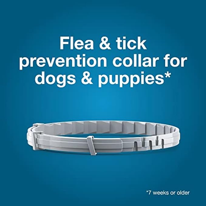 Flea and tick prevention collar for dogs and puppies on a blue background