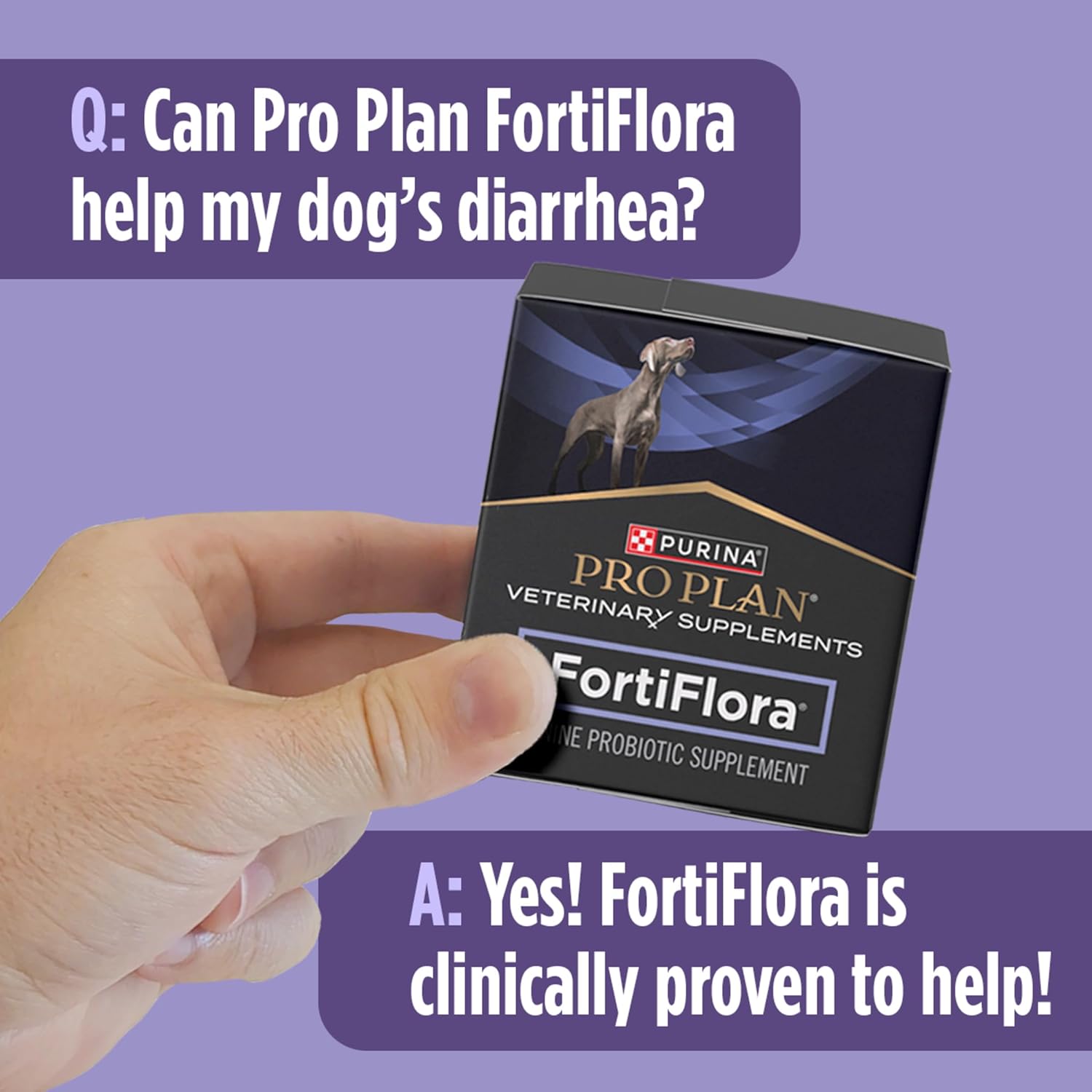 Hand holding a box of Purina Pro Plan FortiFlora probiotic supplement with text on a purple background.