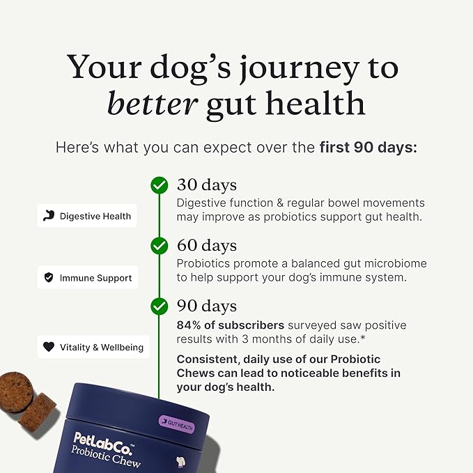 Promotional graphic for PetLabCo Probiotic Chews with text on a dog's journey to better gut health.