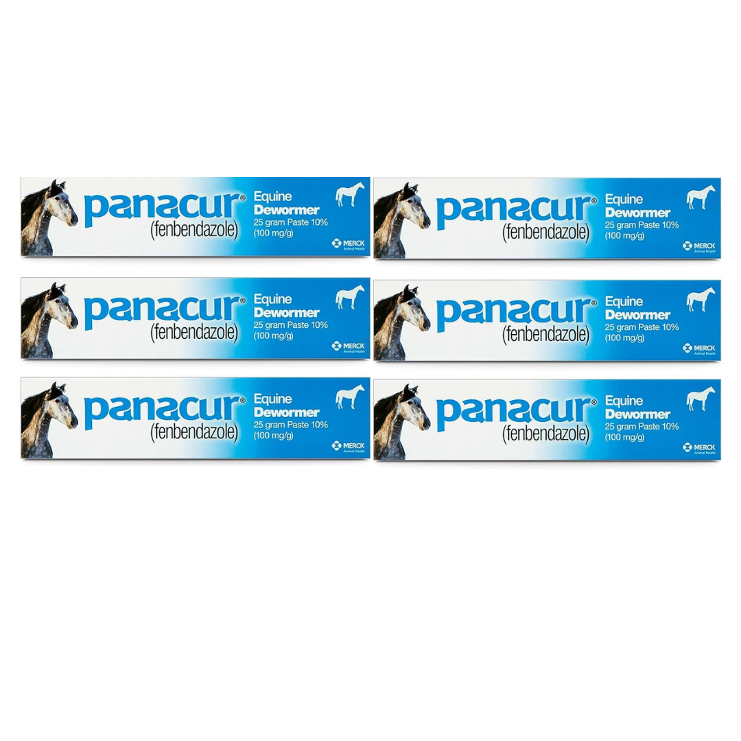 (3 Pack) PANACUR Dewormer Horse Paste 10%, 100mg Each