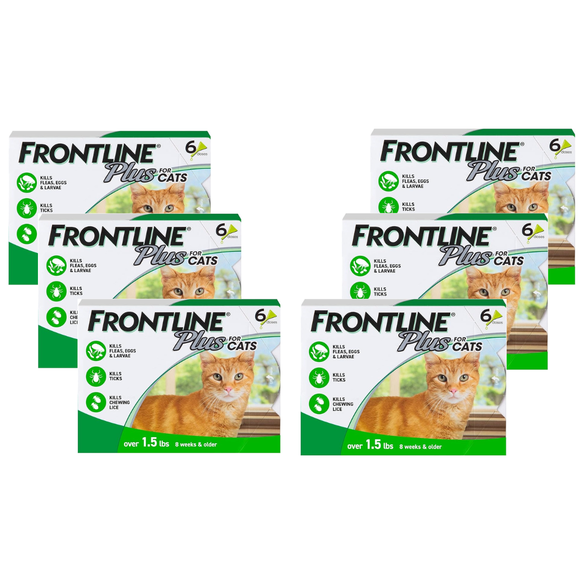 Frontline Plus for cats packaging with a cat illustration on a white background