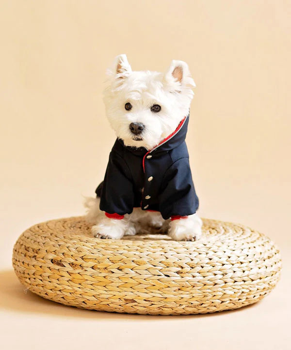 _img_banner_