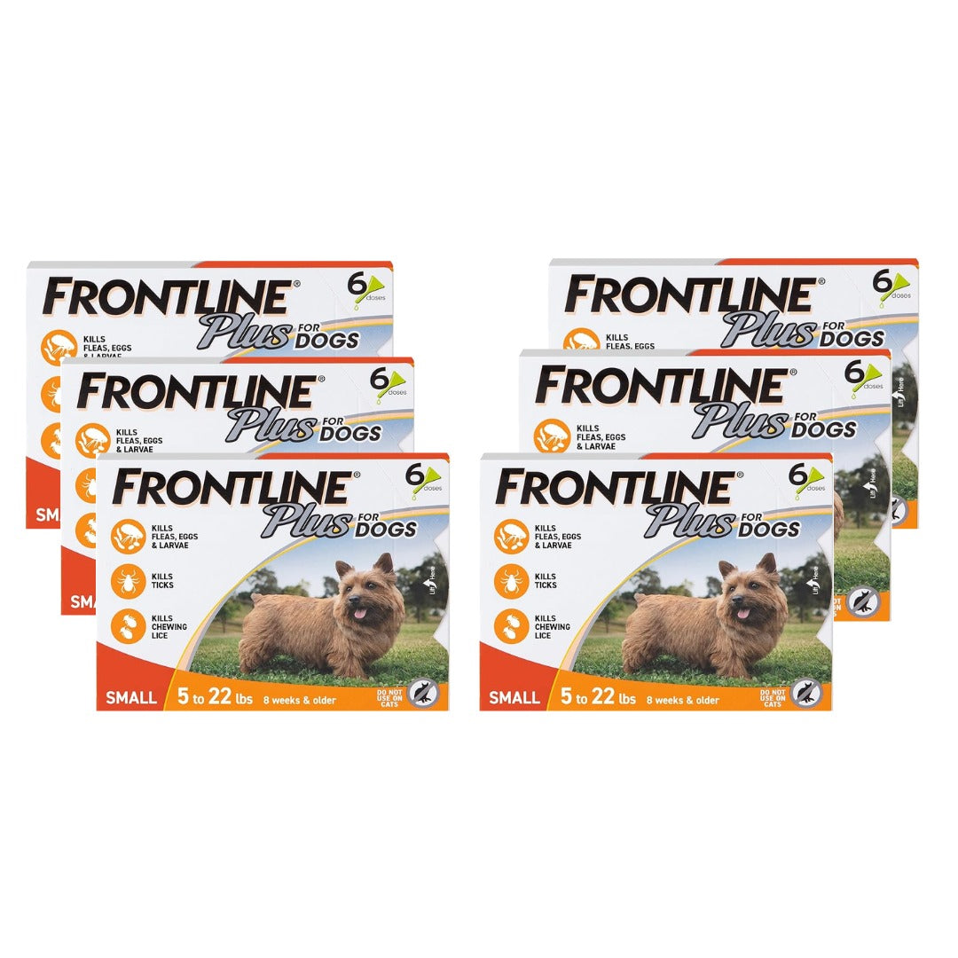 FRONTLINE Plus Flea and Tick Treatment for Small Dogs (5–22 lbs) – 6 Doses