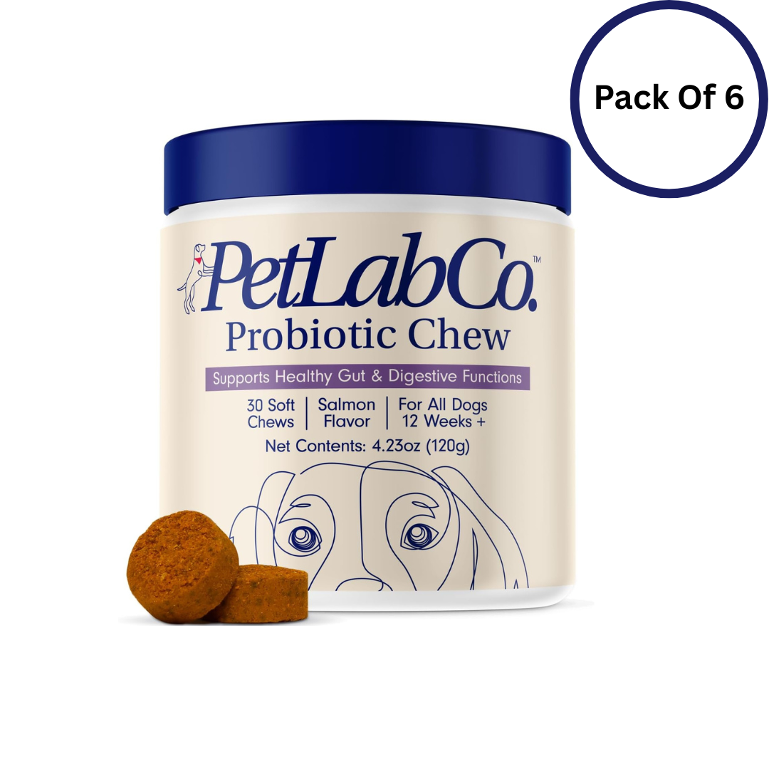 PetLab Co. Probiotic Chew container with a blue lid and dog illustration on a white background